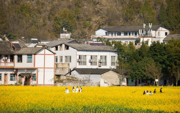 花海万峰林