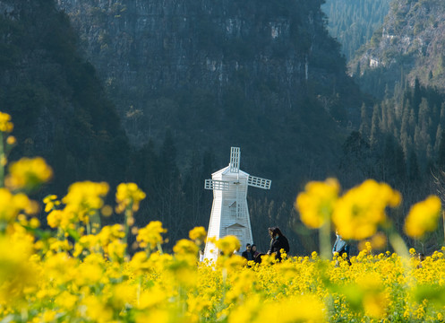 花海万峰林