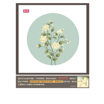 茉莉花圖片