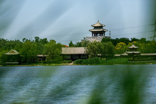 天津水西公园美景