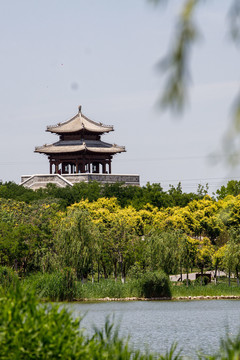 天津水西公园美景