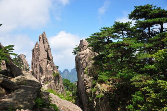 黃山風光