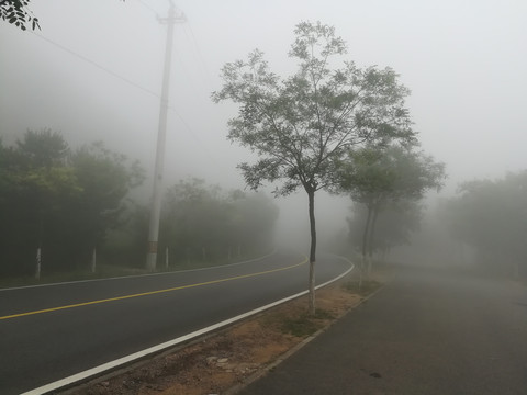 大雾下的公路