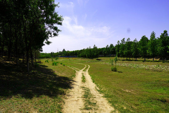 朝阳区东石公园