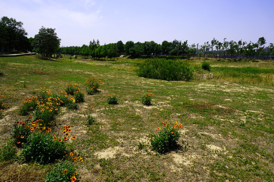 朝阳区东石公园