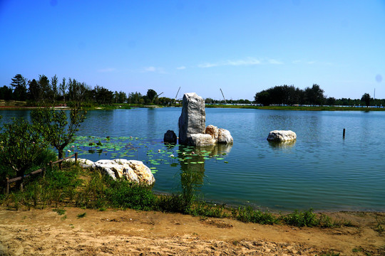 北京温榆河公园朝阳示范区