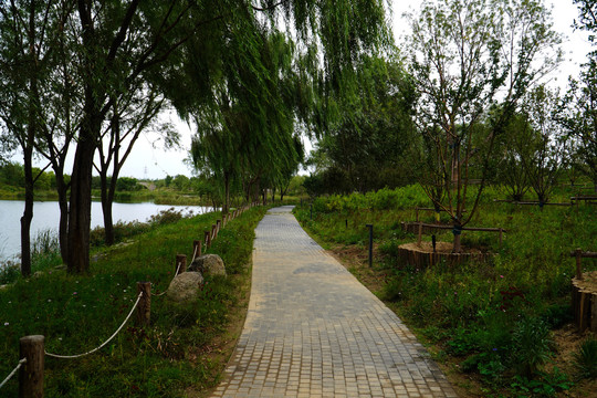 北京溫榆河公園朝陽示范區