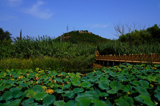 房山牛口峪湿地公园