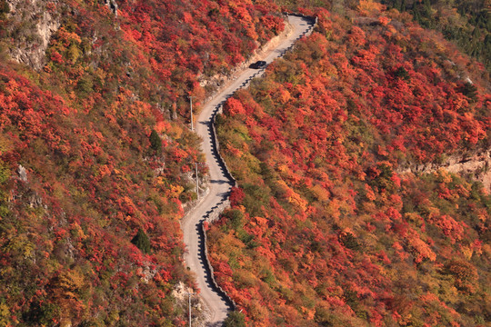 山水风景