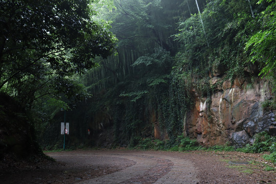 山中石路