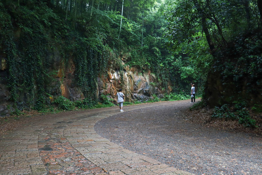 山中石路