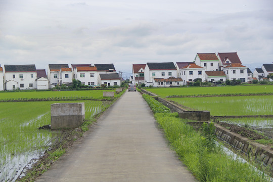 乡野回家的路