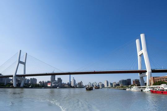 上海南浦大桥斜拉铁索桥