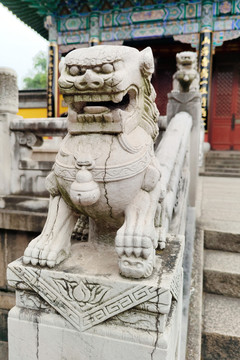 镇江金山寺大雄宝殿石狮子