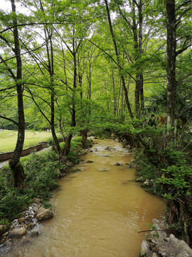 山中小溪