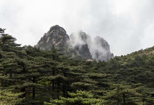 黄山云海