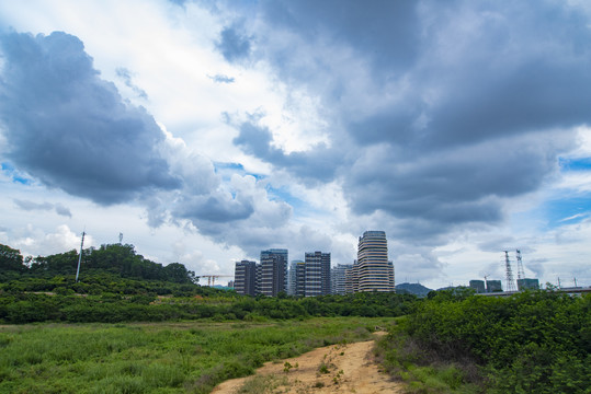 新区远眺