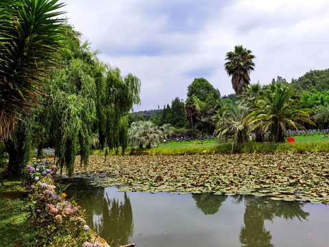 植物园