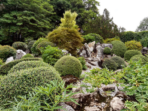 植物园