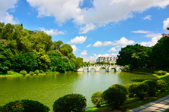 公園湖景