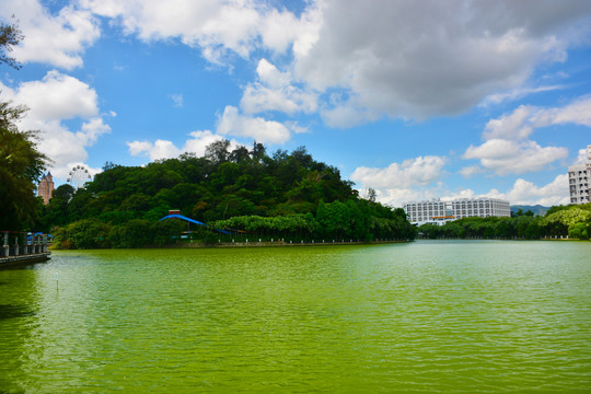 东湖公园湖景