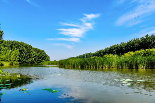 湿地湖泊