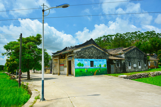 乡村风景