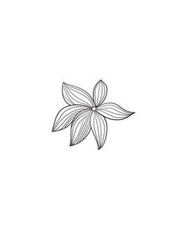 黑白線稿花