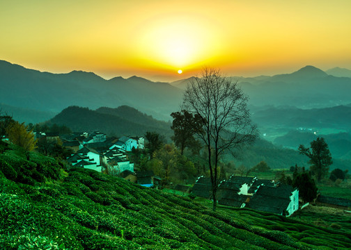 茶园山村