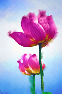 荷花水彩畫(huà)