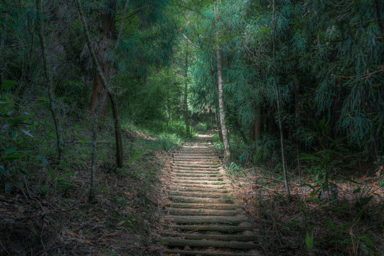 山间步道