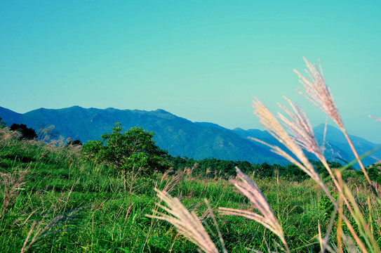 惠东大南山