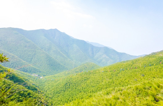 南山竹海天目湖