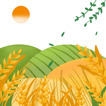田間芒種麥穗小滿矢量插畫