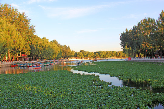 北京什刹海风光