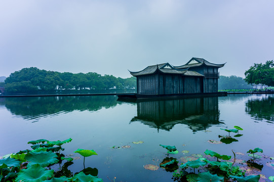 西湖曲院风荷