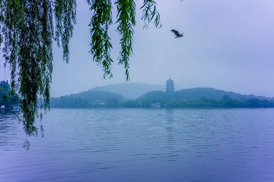 烟雨西湖