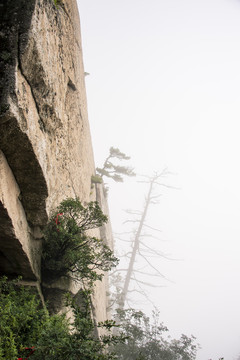 中国陕西华山悬崖风光