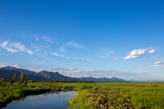 官厅水库湿地