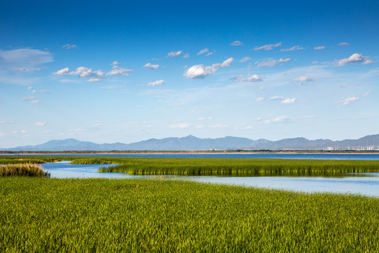 官厅水库湿地