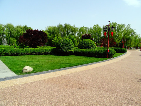 公園綠化景觀