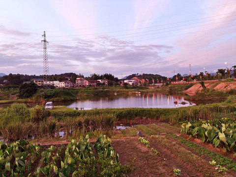 黄昏池塘风景