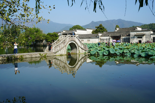 黄山宏村南湖荷塘画桥倒影景色