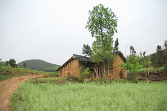 21世纪四川农村住宅