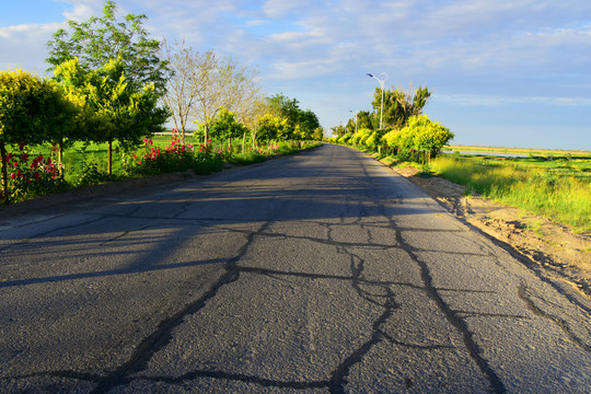 绿荫公路