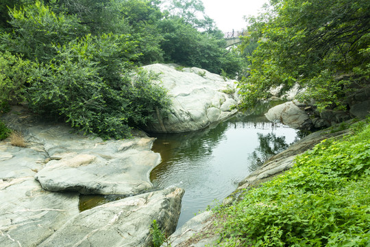 山林小溪泉水