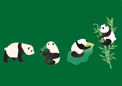 熊貓