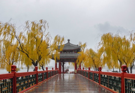 下雨天的北京颐和园知春亭