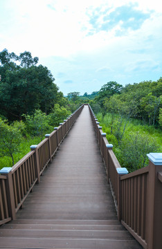 湿地公园长桥