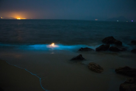 夜幕下的奇观荧光海滩
